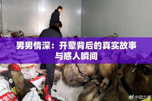 男男情深：开荤背后的真实故事与感人瞬间