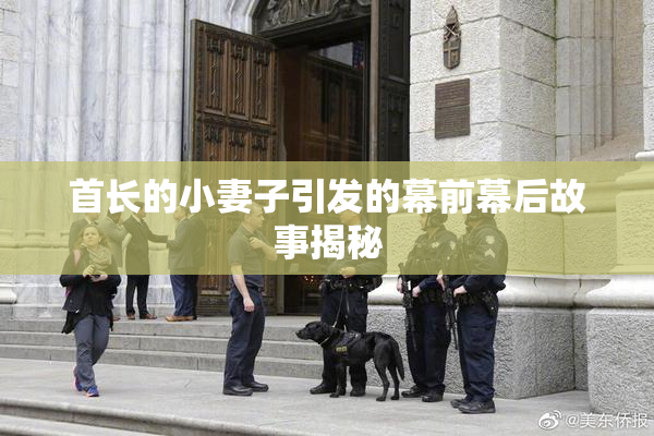 首长的小妻子引发的幕前幕后故事揭秘