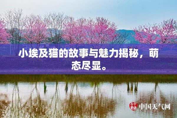 小埃及猫的故事与魅力揭秘，萌态尽显。