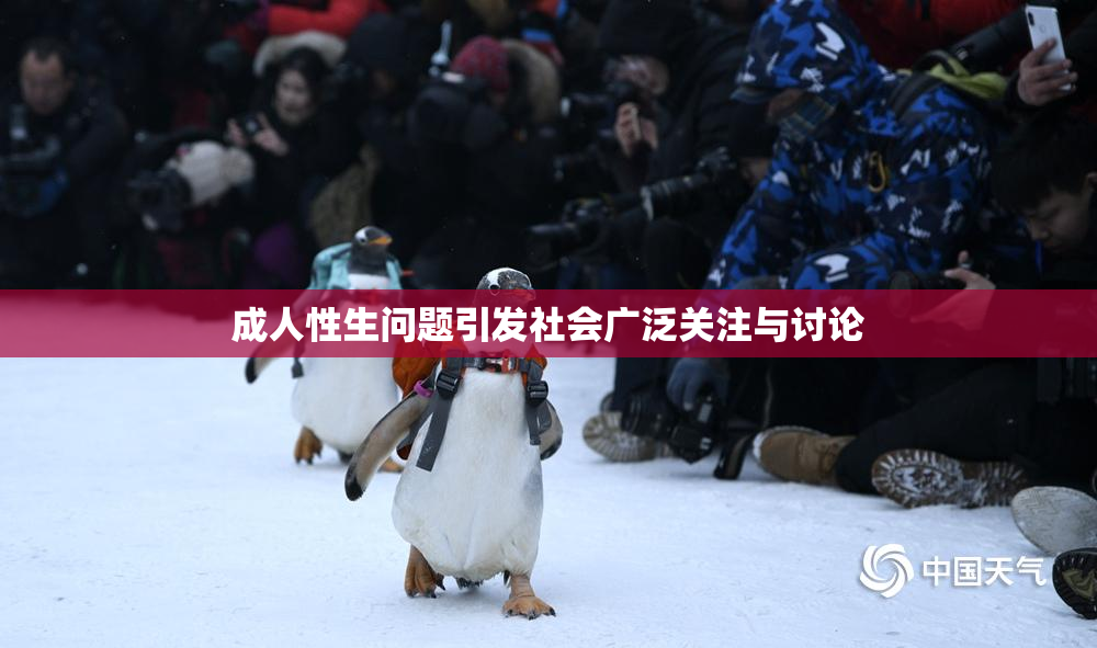 成人性生问题引发社会广泛关注与讨论
