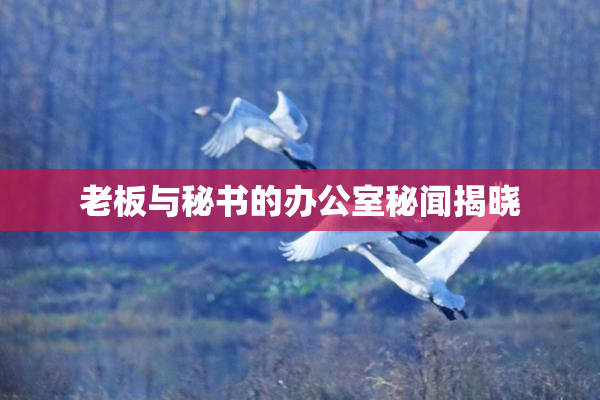 老板与秘书的办公室秘闻揭晓