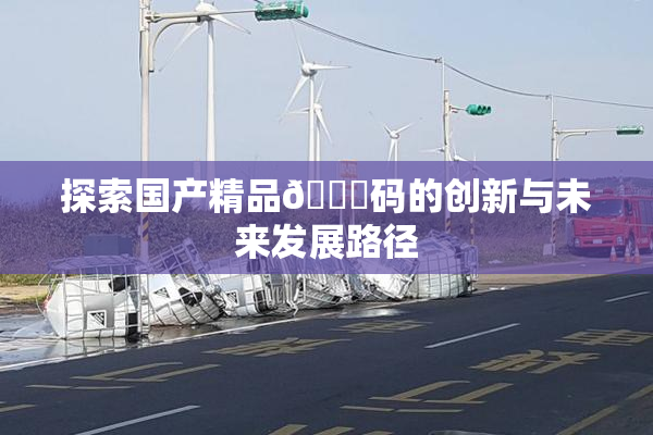 探索国产精品🈚码的创新与未来发展路径