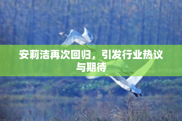 安莉洁再次回归，引发行业热议与期待