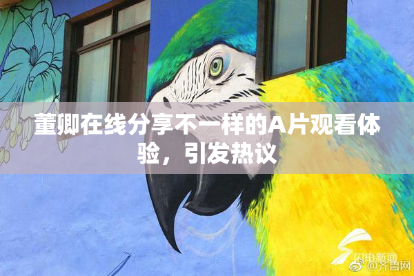 董卿在线分享不一样的A片观看体验，引发热议