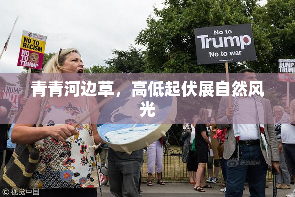 青青河边草，高低起伏展自然风光