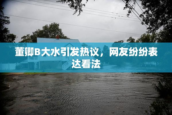 董卿B大水引发热议，网友纷纷表达看法