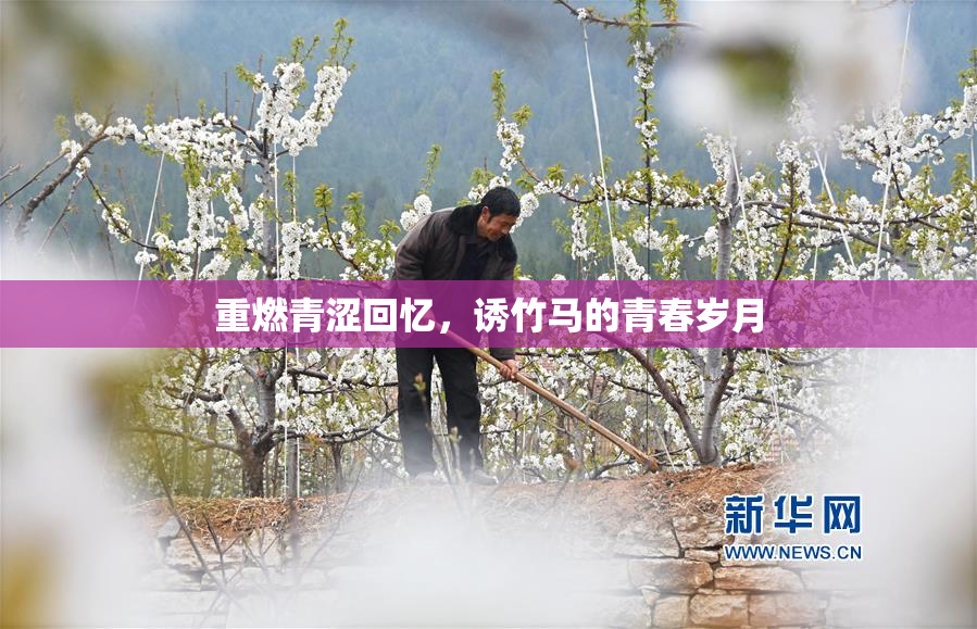 重燃青涩回忆，诱竹马的青春岁月