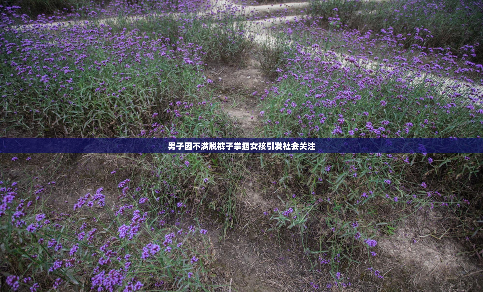 男子因不满脱裤子掌掴女孩引发社会关注