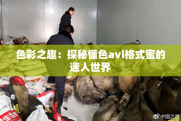 色彩之趣：探秘懂色avi格式蜜的迷人世界