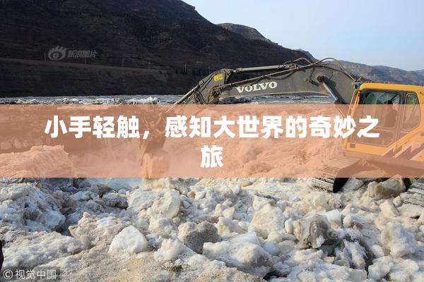 小手轻触，感知大世界的奇妙之旅