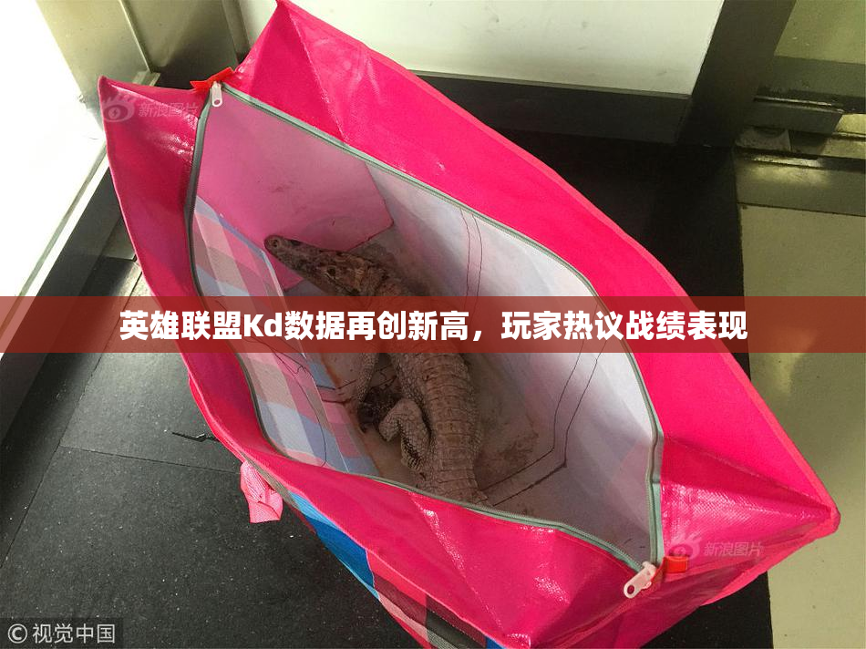 英雄联盟Kd数据再创新高，玩家热议战绩表现