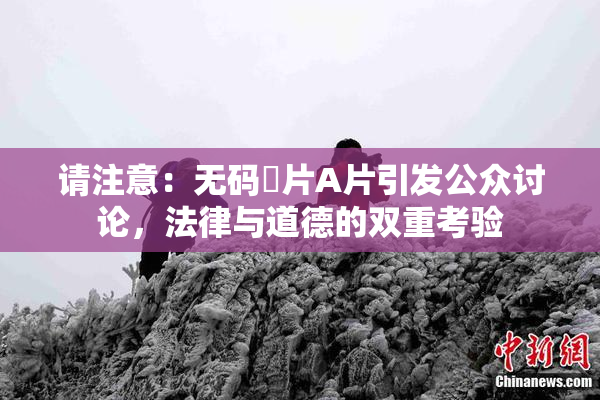 请注意：无码婬片A片引发公众讨论，法律与道德的双重考验