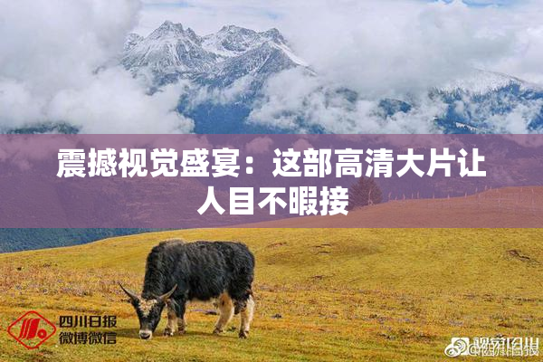 震撼视觉盛宴：这部高清大片让人目不暇接