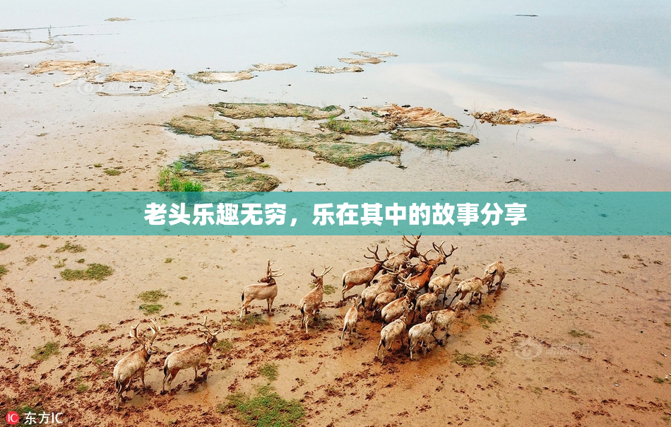老头乐趣无穷，乐在其中的故事分享