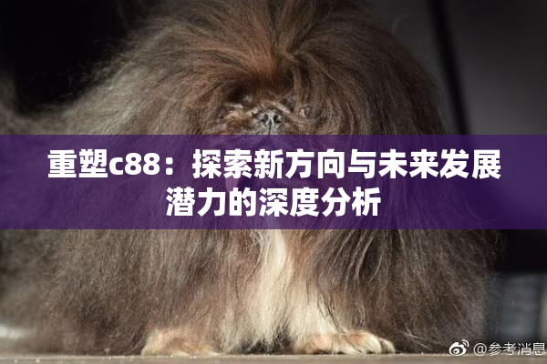 重塑c88：探索新方向与未来发展潜力的深度分析