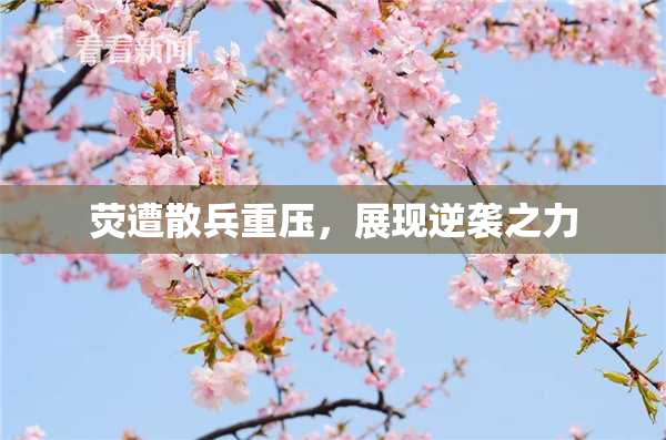 荧遭散兵重压，展现逆袭之力