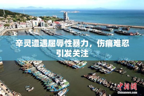 辛灵遭遇屈辱性暴力，伤痛难忍引发关注