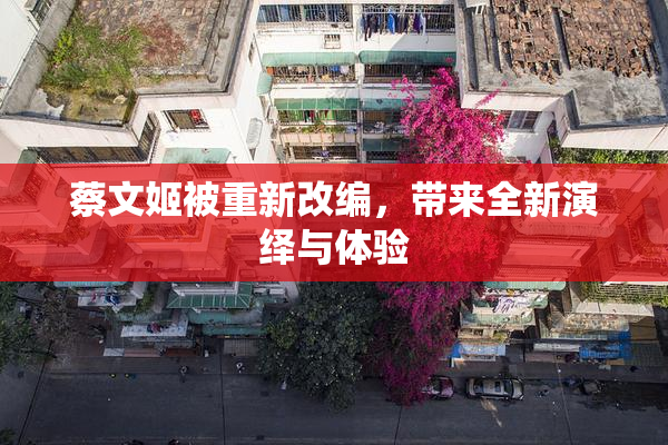 蔡文姬被重新改编，带来全新演绎与体验