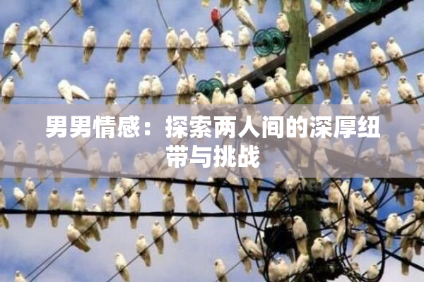 男男情感：探索两人间的深厚纽带与挑战