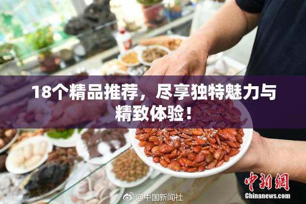 18个精品推荐，尽享独特魅力与精致体验！