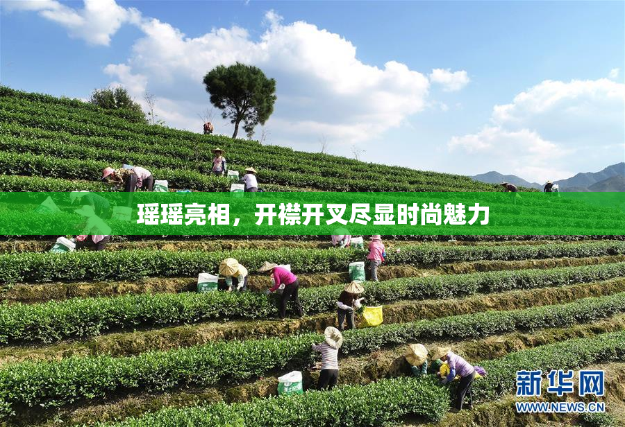瑶瑶亮相，开襟开叉尽显时尚魅力