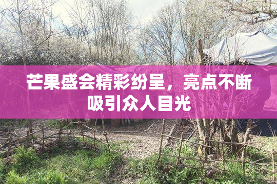芒果盛会精彩纷呈，亮点不断吸引众人目光