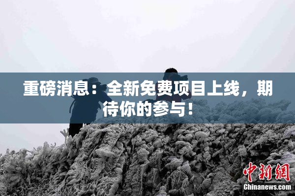 重磅消息：全新免费项目上线，期待你的参与！