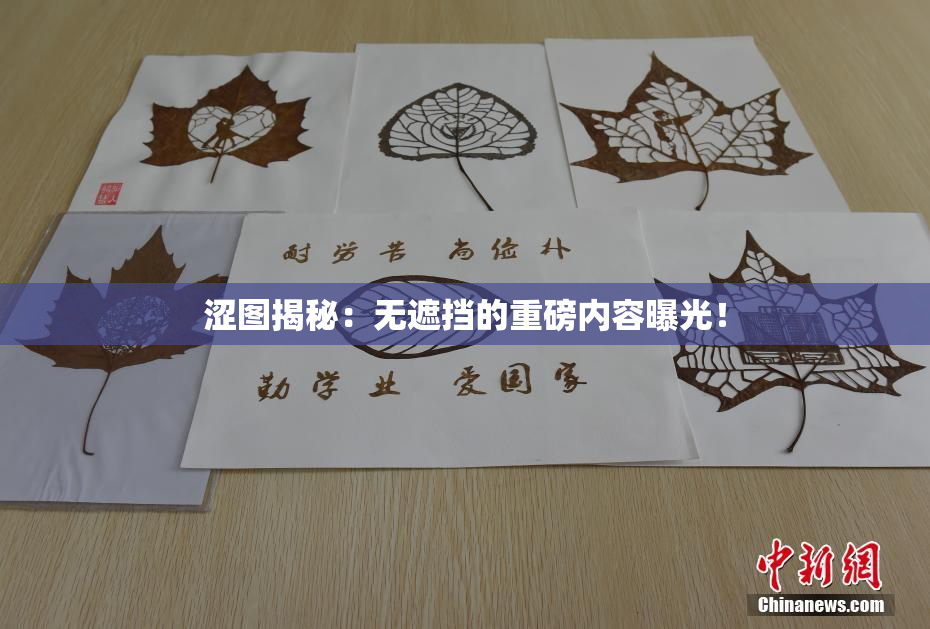 涩图揭秘：无遮挡的重磅内容曝光！