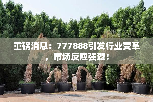重磅消息：777888引发行业变革，市场反应强烈！