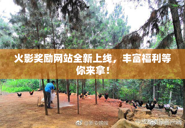 火影奖励网站全新上线，丰富福利等你来拿！