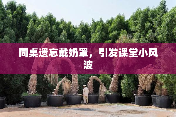 同桌遗忘戴奶罩，引发课堂小风波