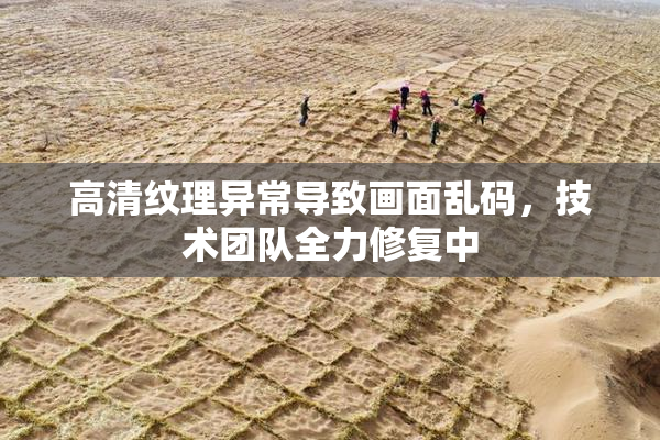 高清纹理异常导致画面乱码，技术团队全力修复中