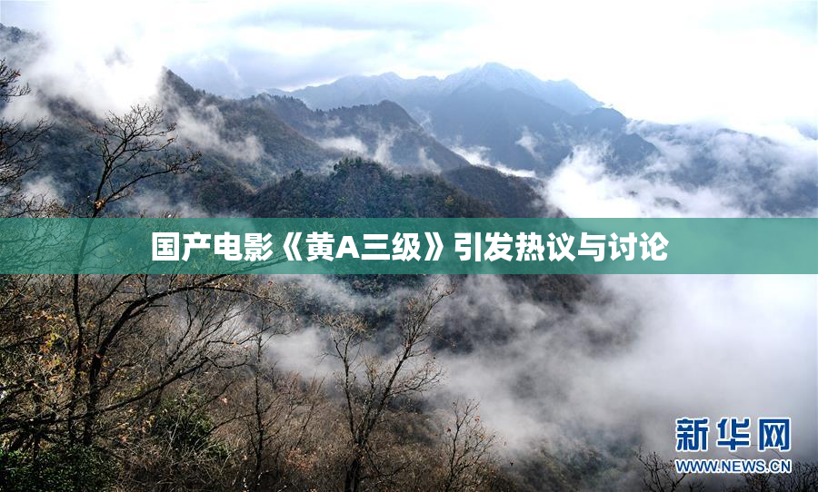 国产电影《黄A三级》引发热议与讨论