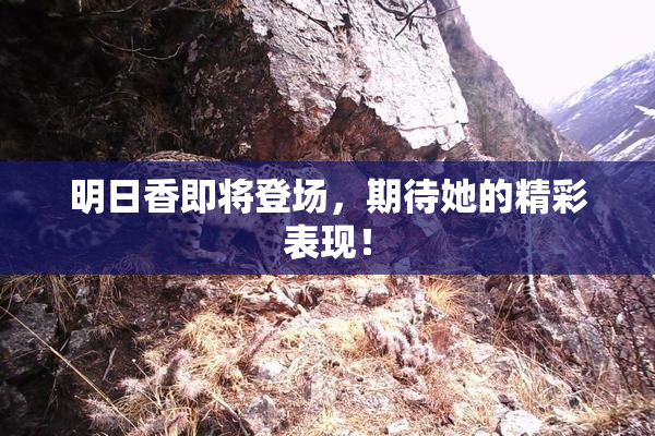 明日香即将登场，期待她的精彩表现！