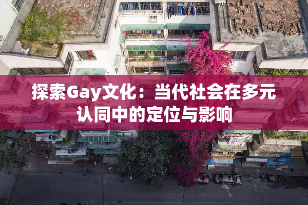 探索Gay文化：当代社会在多元认同中的定位与影响