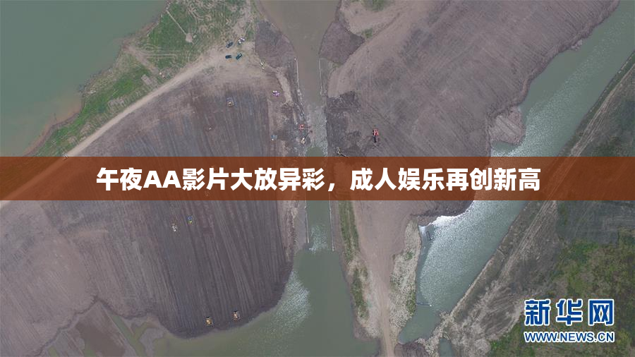 午夜AA影片大放异彩，成人娱乐再创新高