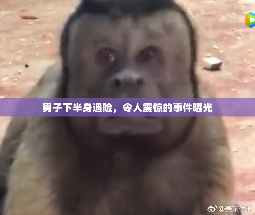 男子下半身遇险，令人震惊的事件曝光