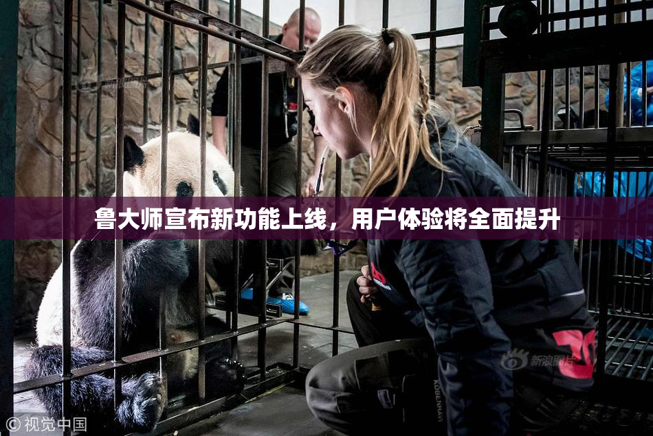 鲁大师宣布新功能上线，用户体验将全面提升