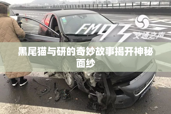 黑尾猫与研的奇妙故事揭开神秘面纱
