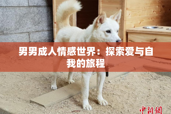 男男成人情感世界：探索爱与自我的旅程