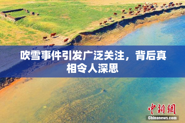 吹雪事件引发广泛关注，背后真相令人深思