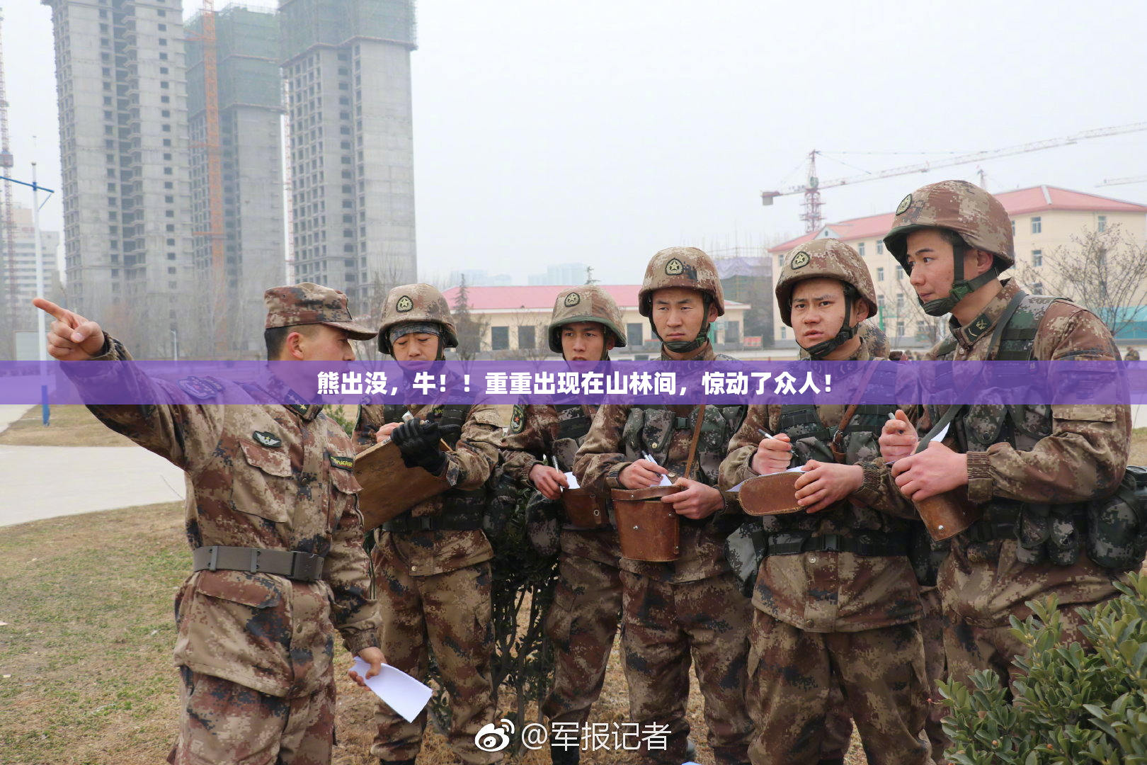 熊出没，牛！！重重出现在山林间，惊动了众人！