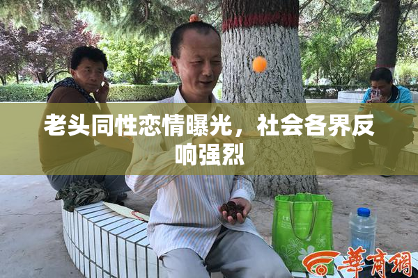 老头同性恋情曝光，社会各界反响强烈