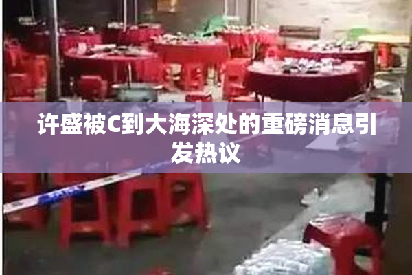 许盛被C到大海深处的重磅消息引发热议