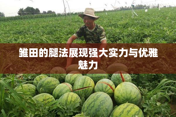 雏田的腿法展现强大实力与优雅魅力