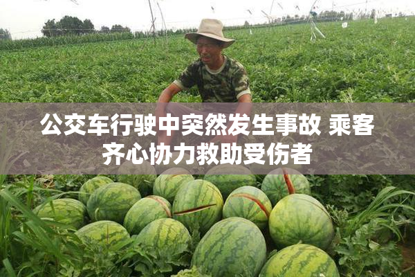 公交车行驶中突然发生事故 乘客齐心协力救助受伤者