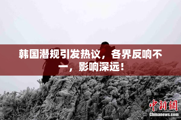 韩国潜规引发热议，各界反响不一，影响深远！
