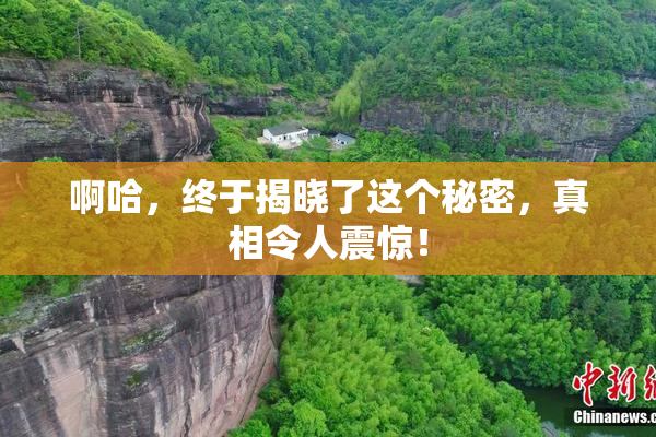 啊哈，终于揭晓了这个秘密，真相令人震惊！