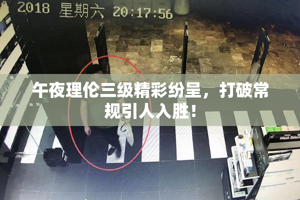 午夜理伦三级精彩纷呈，打破常规引人入胜！