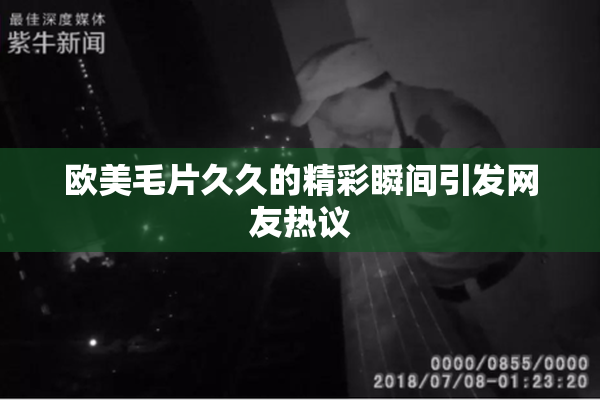欧美毛片久久的精彩瞬间引发网友热议